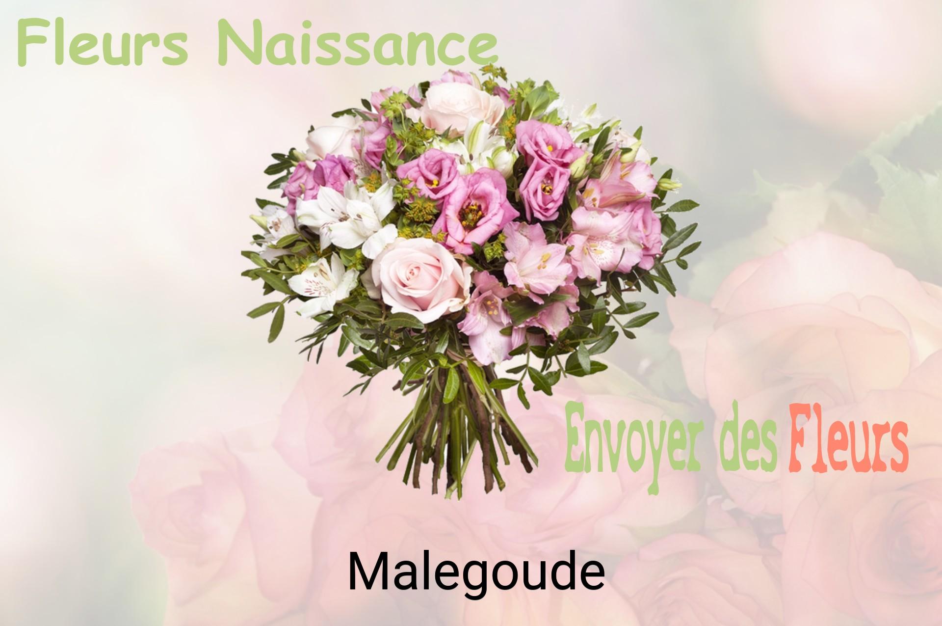 Bouquet de fleurs de naissance livré à Malegoude